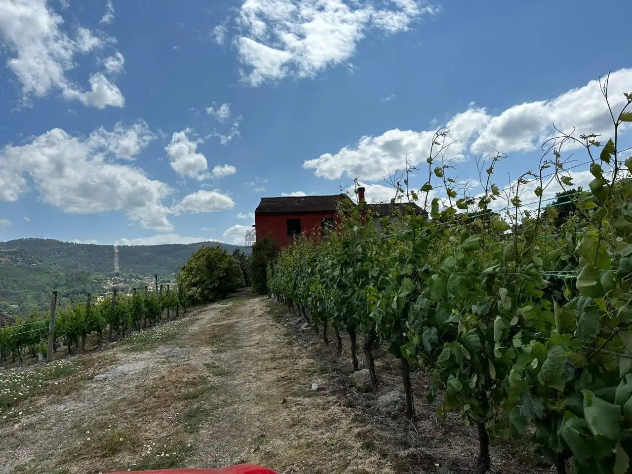 Exterior view of Houses for sale in Beade   with Heating and Private garden