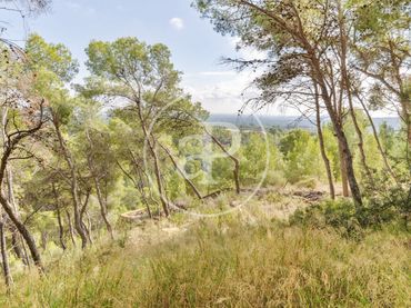 Terreny residencial en venda a El Bosque