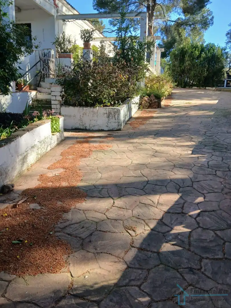 Vista exterior de Casa o chalet en venta en Alfara de la Baronia con Terraza