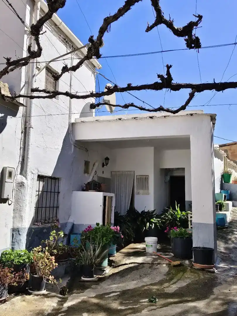 Vista exterior de Finca rústica en venta en Albondón con Jardín privado, Trastero y Amueblado