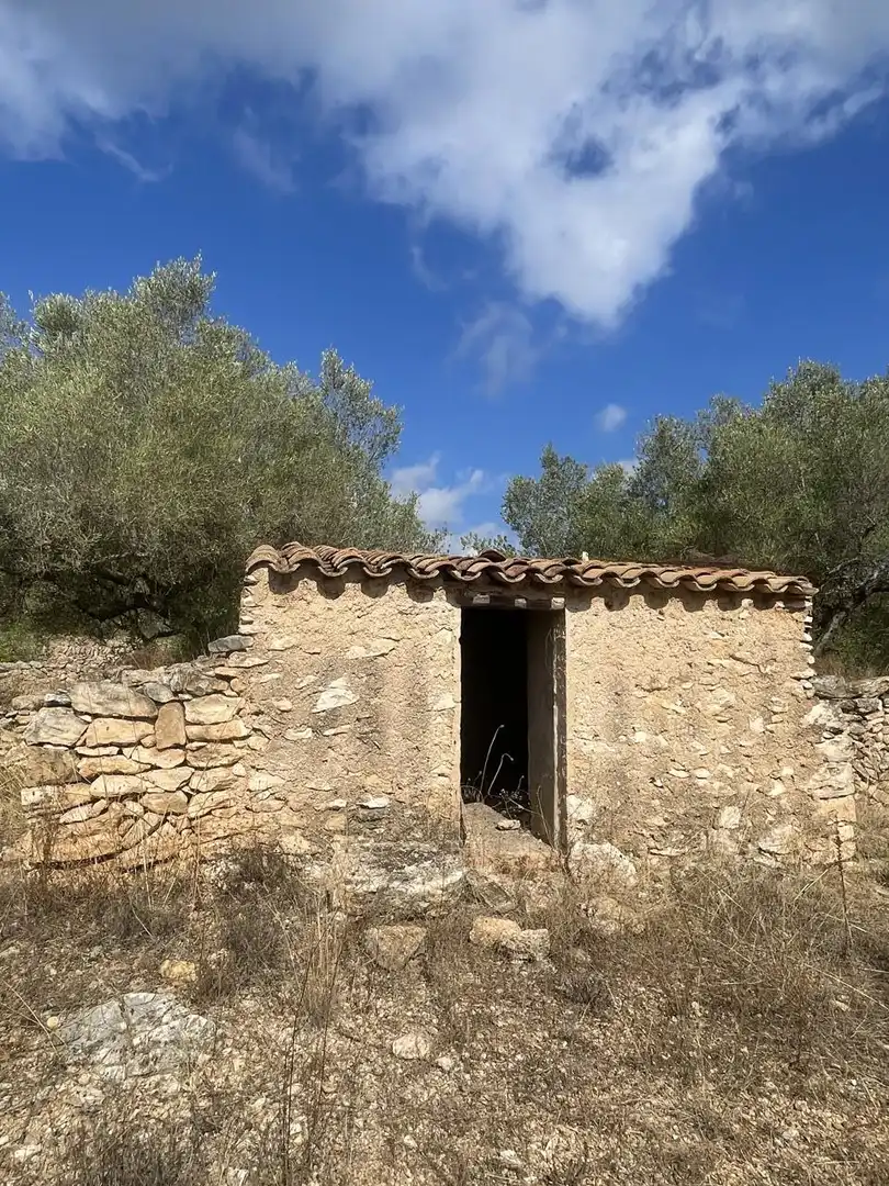 Terreno rústico en venta en L'Ametlla de Mar pueblo, imagen 2