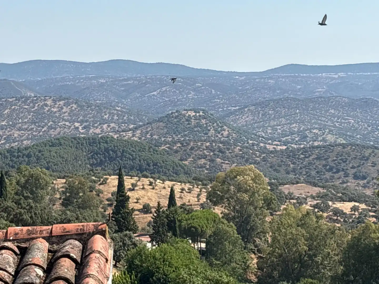 Houses for sale in Zufre  with Terrace and Storage room
