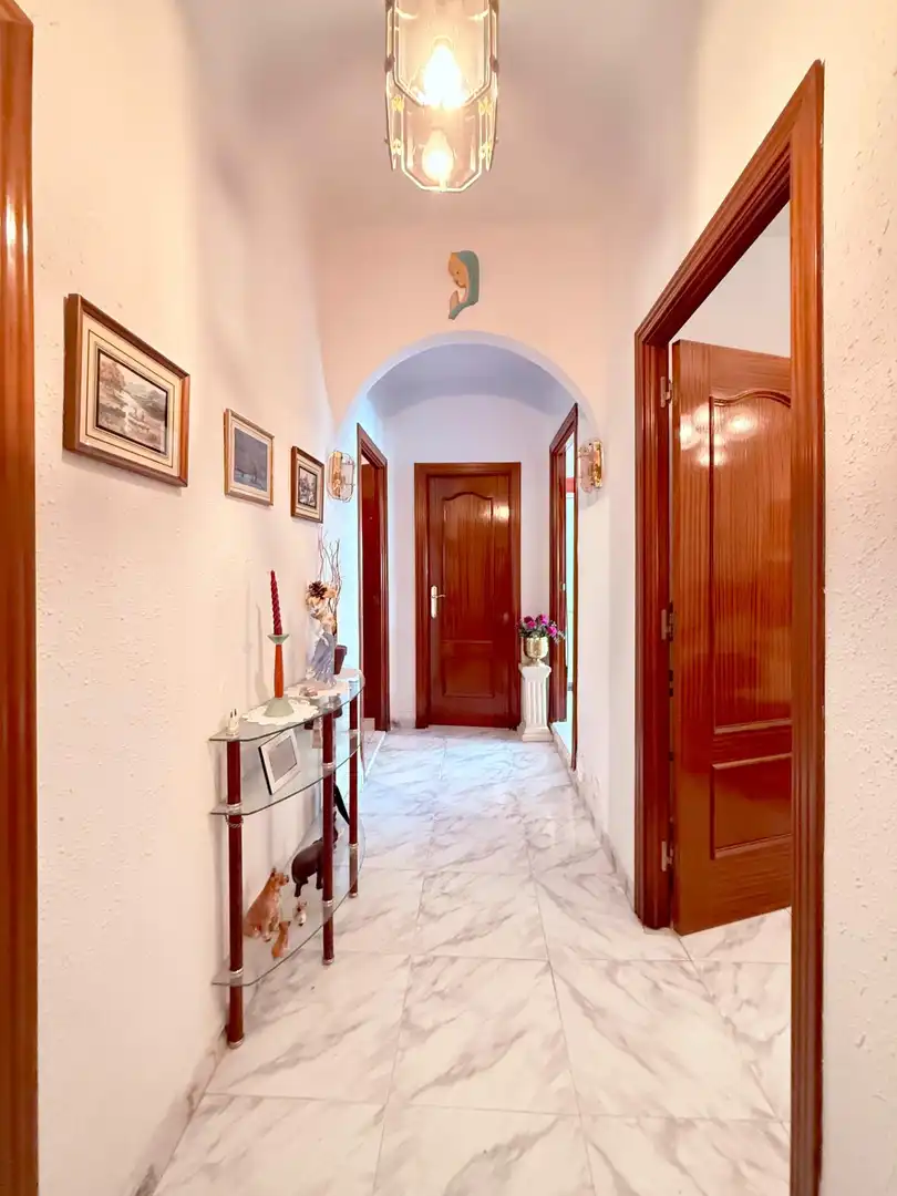 Detached homes for sale in Centro