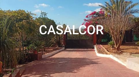 Photo 3 of Loft to rent in Carmona, Sevilla