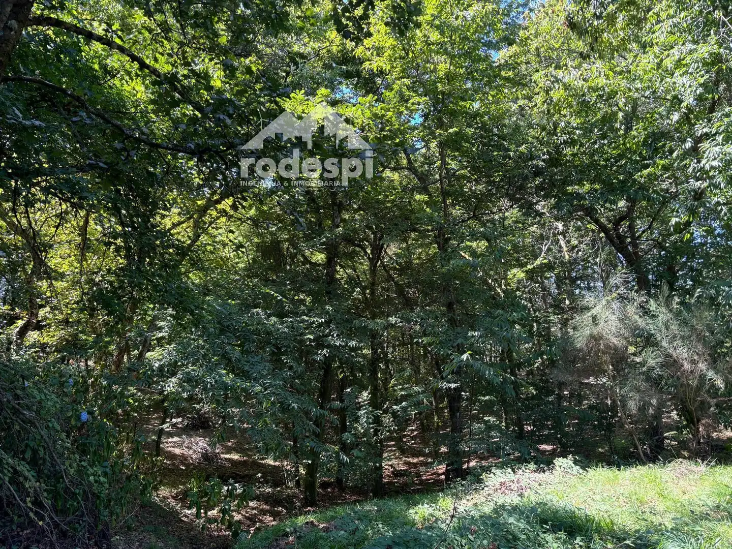 Terreny rústic en venda a A Cañiza, imagen 27
