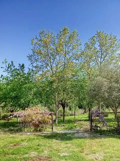 Casa o xalet en venda en Sant Llorenç d'Hortons amb Calefacció, Jardí privat i Terrassa
