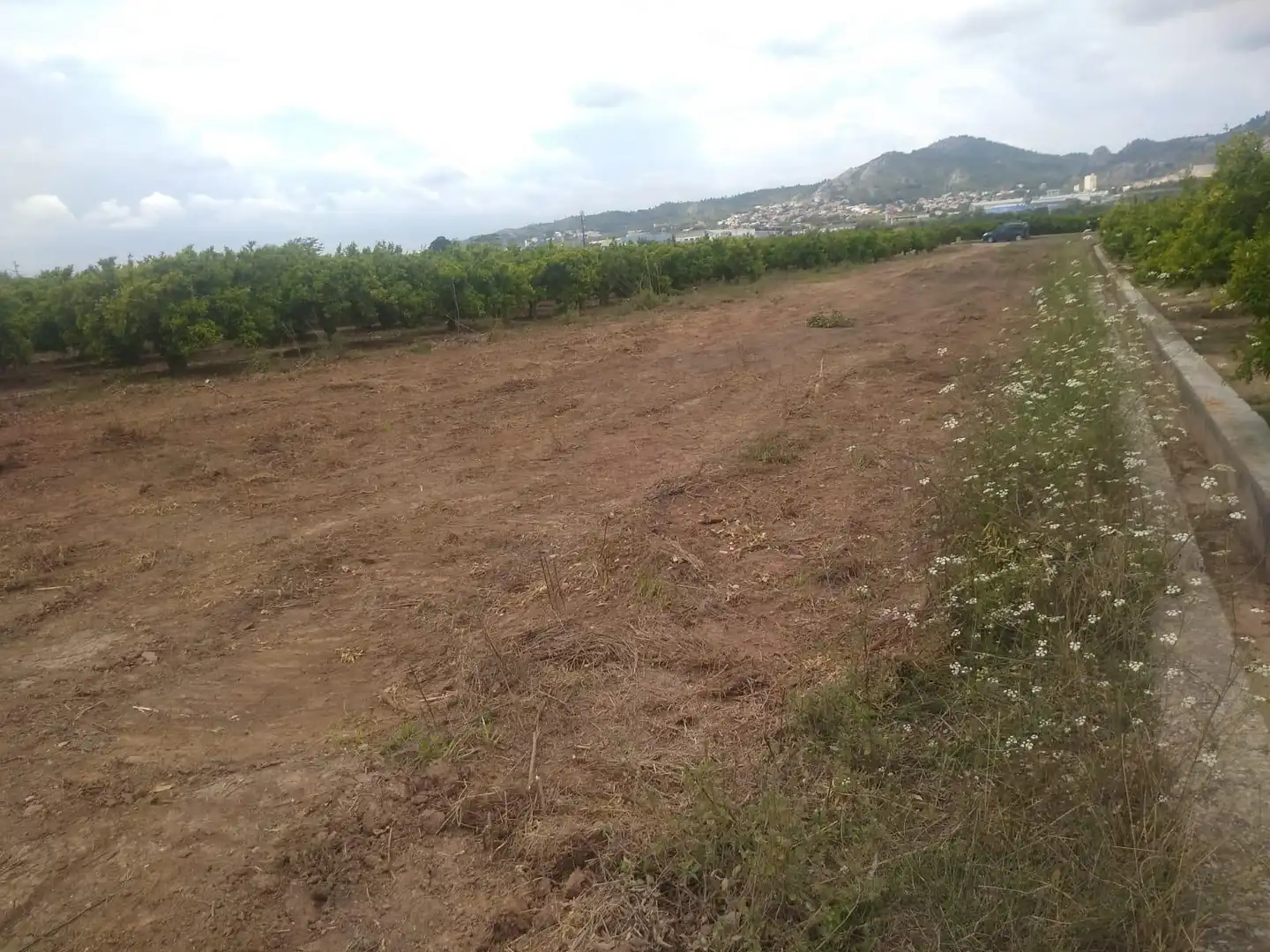 Terreno rustico in vendita a Norte, imagen 5