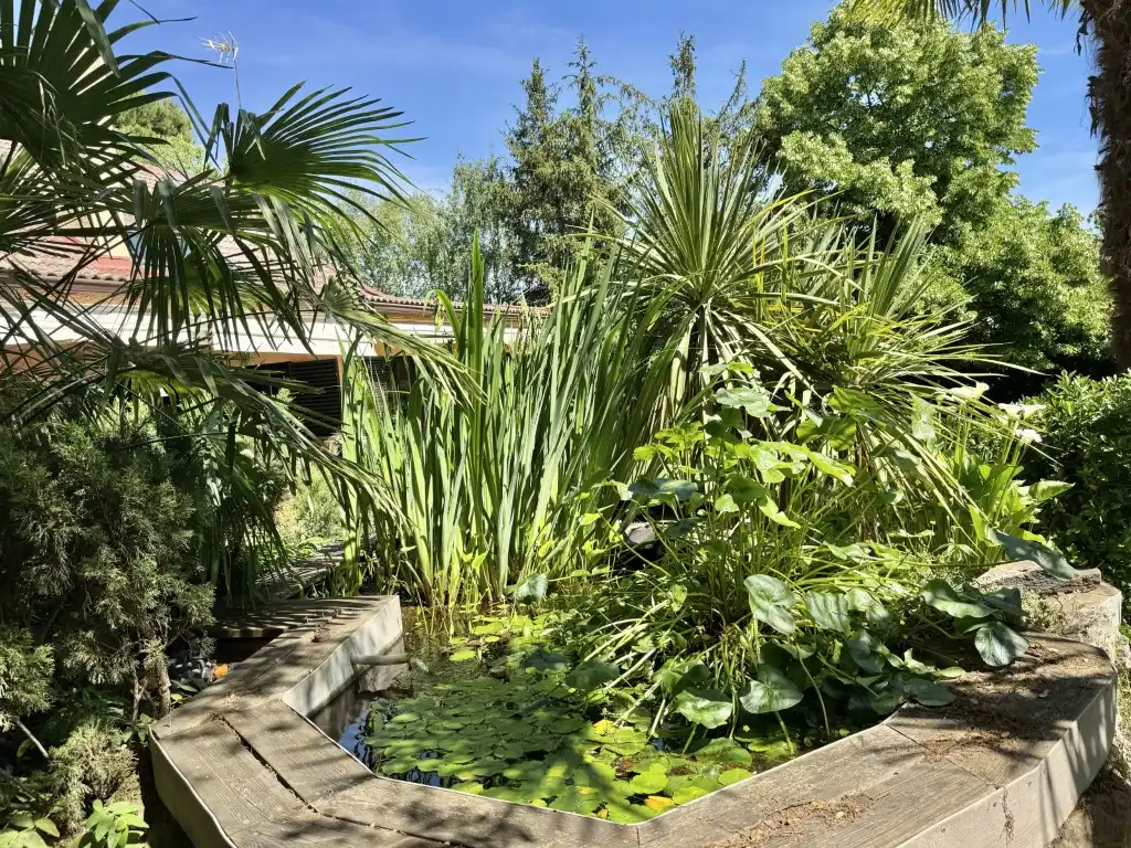 Jardí de Casa o xalet en venda en Ciudalcampo