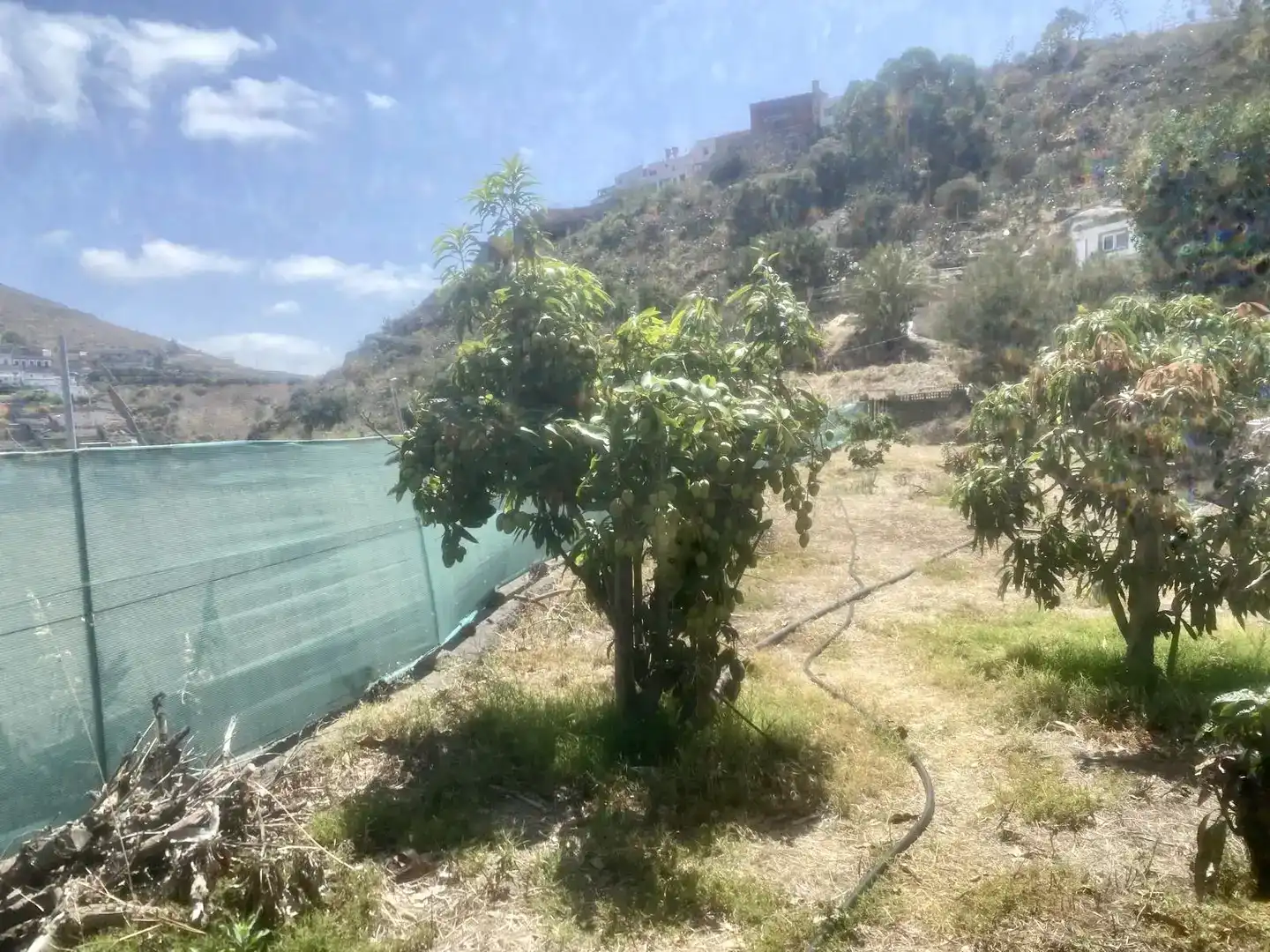 Finca rústica en venta en Telde con Jardín privado, Trastero y Amueblado