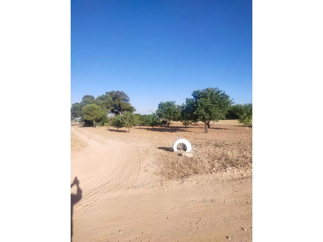 Terreny rústic en venda a Carretera carretera del Moral, imagen 2