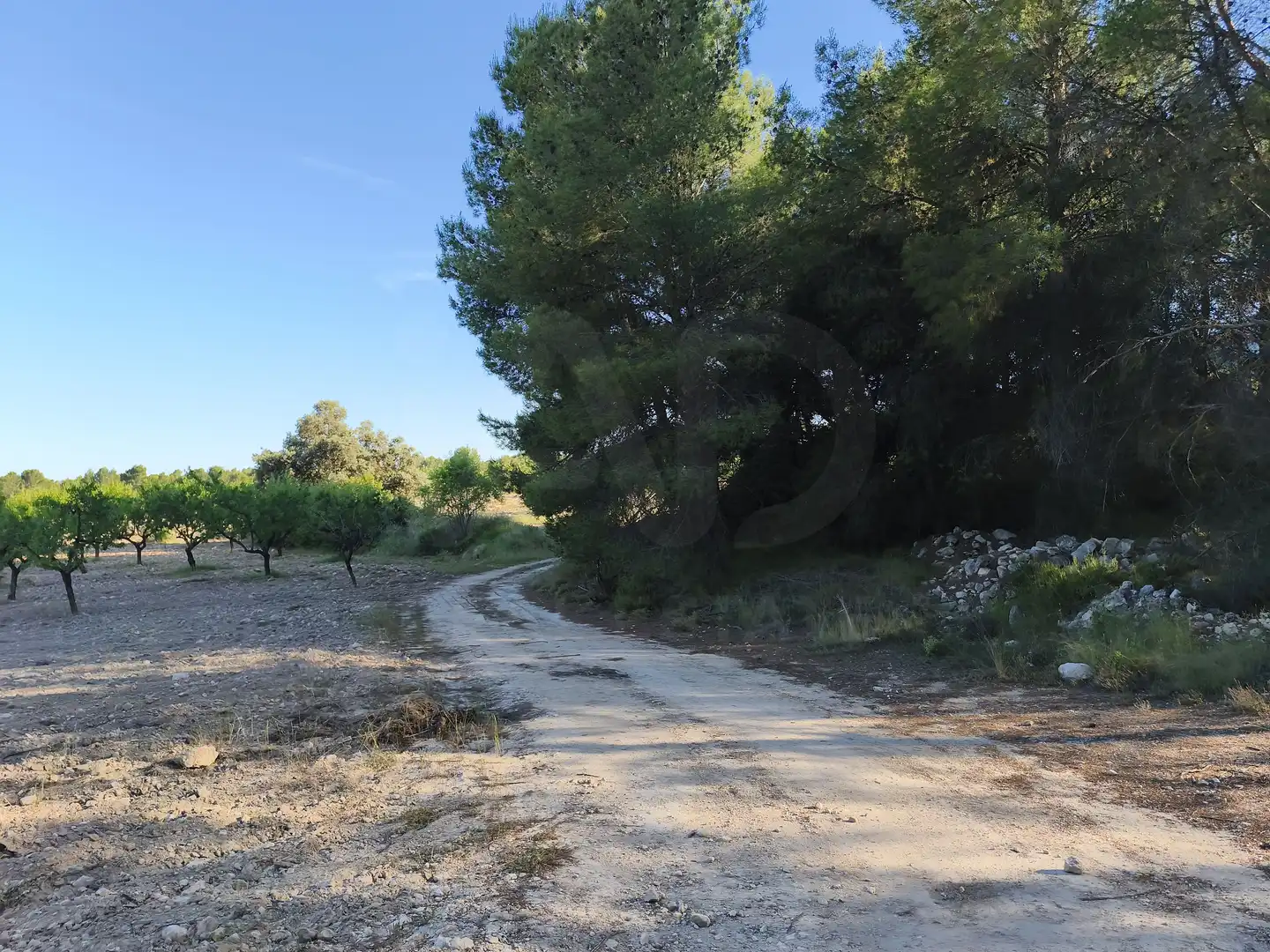 Terreno rustico in vendita a Moratalla, imagen 30