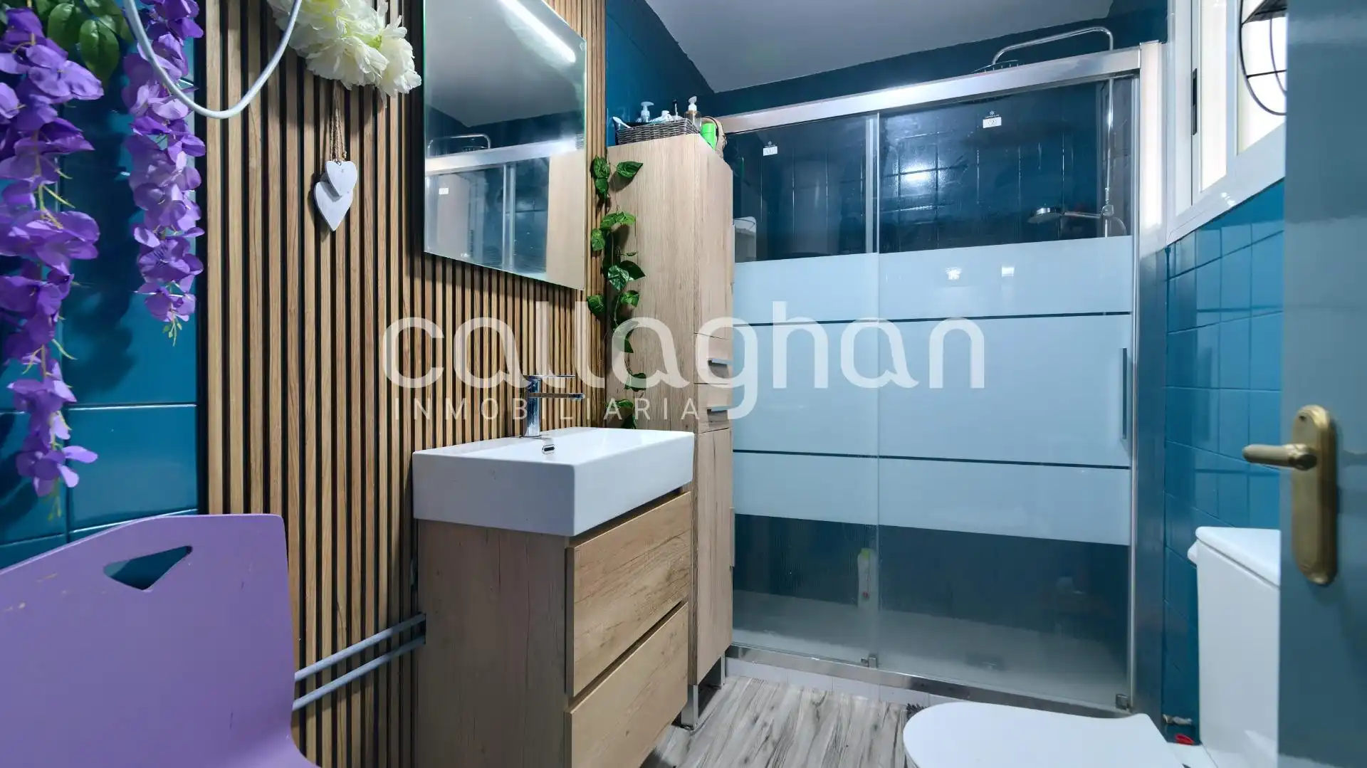 Appartamento con terrazza in vendita a Centro Ciudad, imagen 28