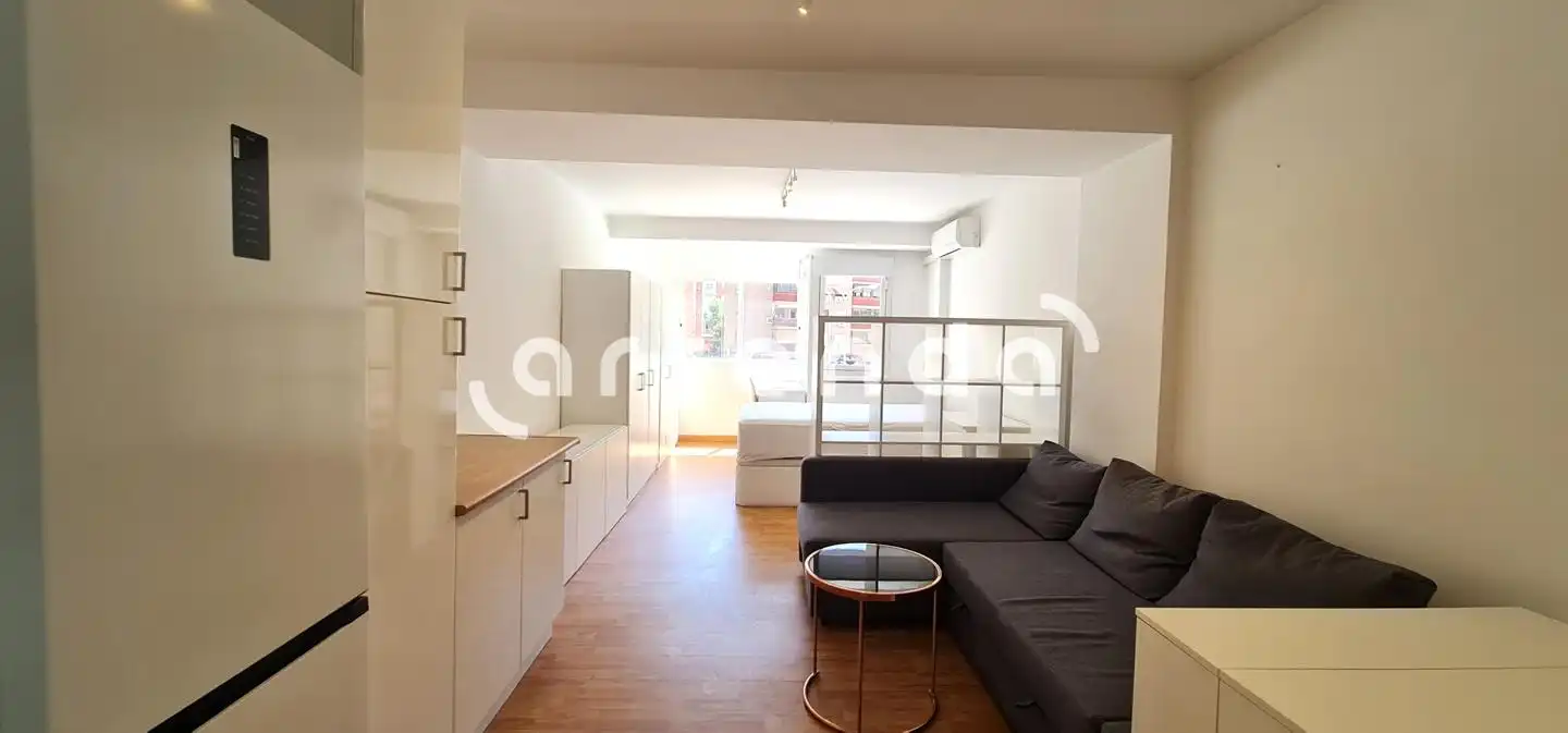 Living room of Study for rent in Madrid  with Air Conditioner and Furnished
