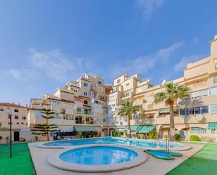 Vista exterior de Apartament en venda en Torrevieja amb Aire condicionat i Terrassa