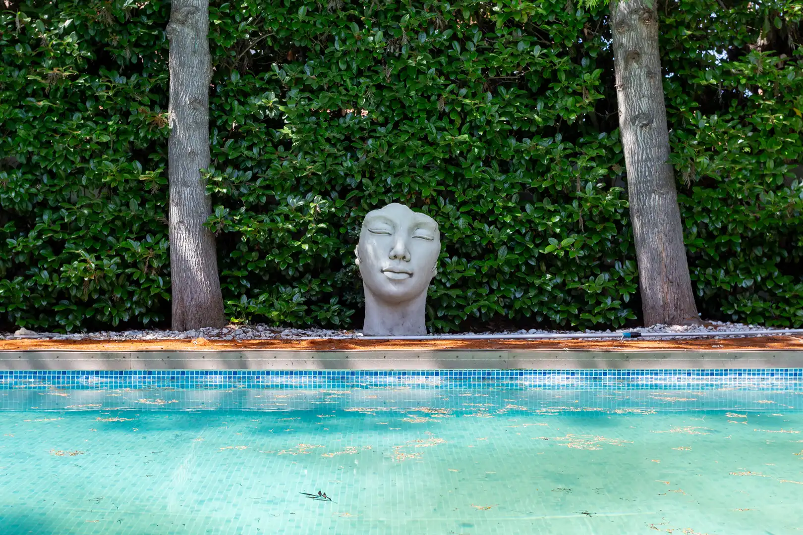 Piscina de Casa o xalet en venda en Salou amb Aire condicionat, Calefacció i Jardí privat