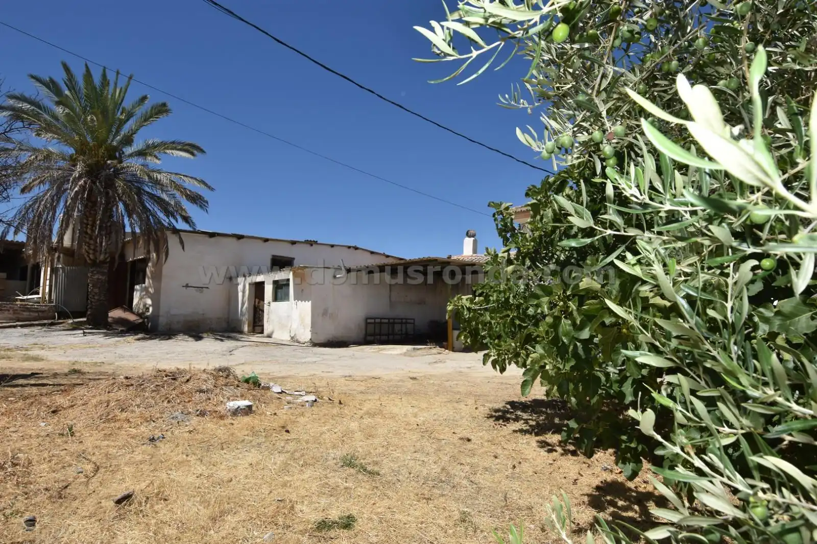 Finca rústica en venda en Ronda amb Terrassa i Traster