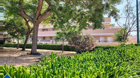 Dúplex con piscina comunitaria, en la provincia de Alicante, en la ciudad de Orihuela Costa. 3 habitaciones | 91 m² | A 500 metros, imatge 4