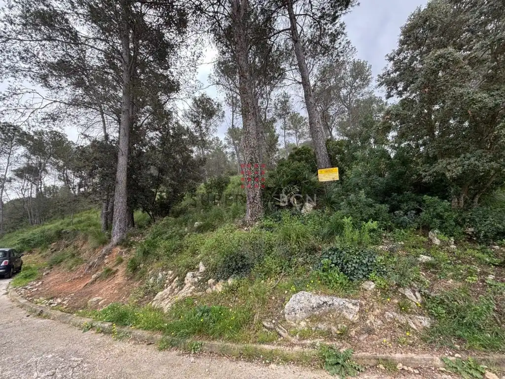 Terreny residencial en venda a Canyelles, imagen 5