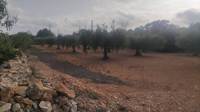 Terreno en Venta en  Polígono 15 en Pueblo