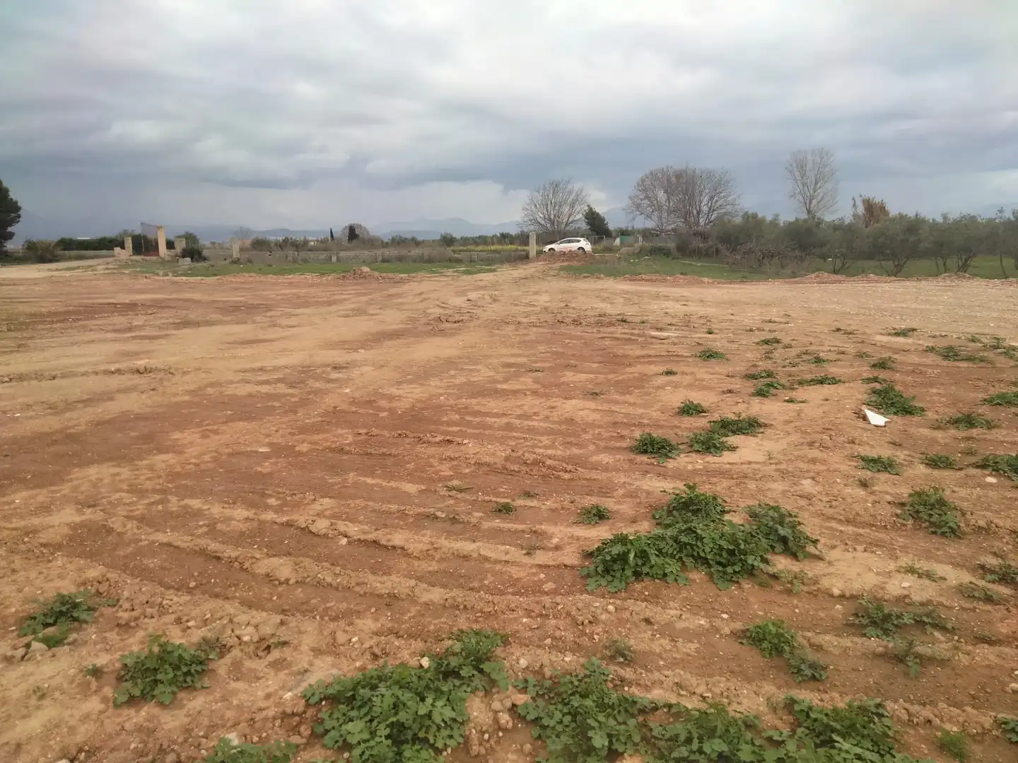 Rural land for sale in Belicena, imagen 6