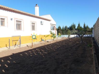 Vista exterior de Casa o xalet en venda en Oliva amb Aire condicionat, Calefacció i Jardí privat