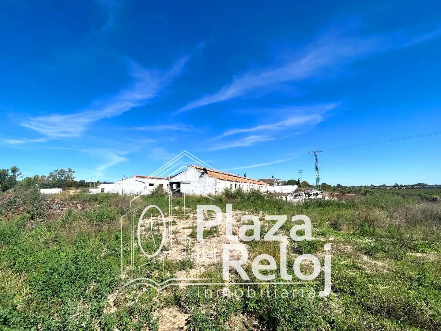 Land for sale in Pepino