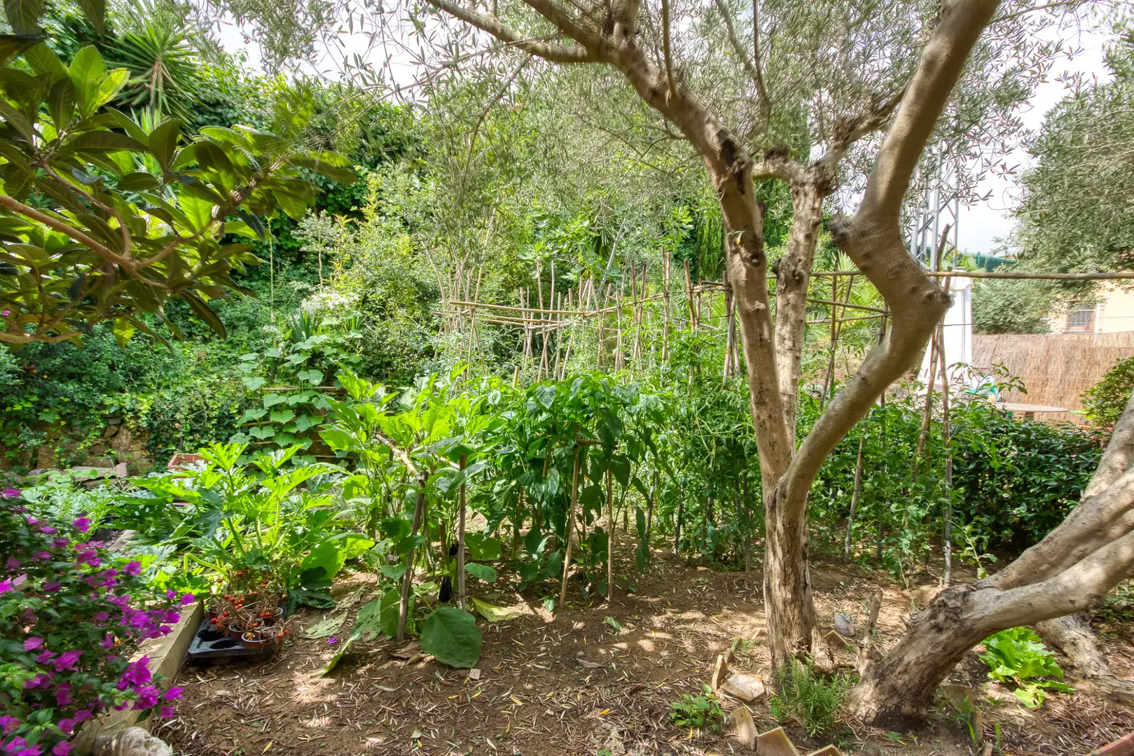 Villa avec piscine à vendre à Begur pueblo, imagen 41