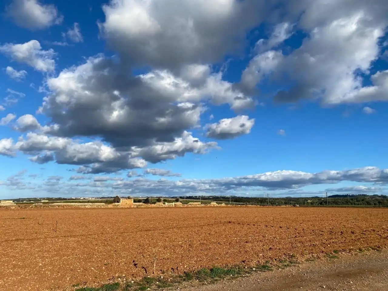 Wohnbaugrundstück zum Verkauf in Llubí, imagen 4