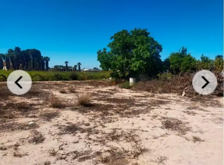 Rural land for sale in La Foia - Daimés - Asprella, imagen 5