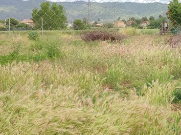 Wohnbaugrundstück zum Verkauf in Almodóvar del Río