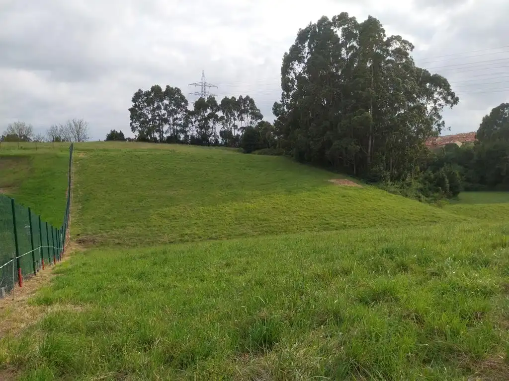Terreno rustico in vendita a Camino de Caliero, imagen 20