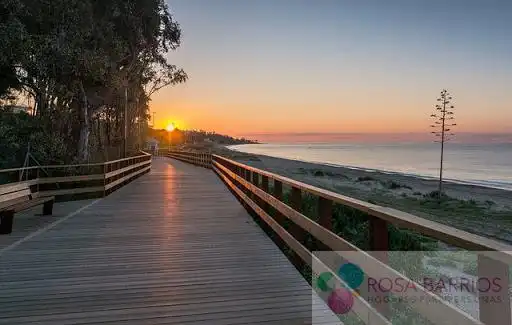 Vista exterior de Piso en venta en Marbella con Terraza, Trastero y Amueblado