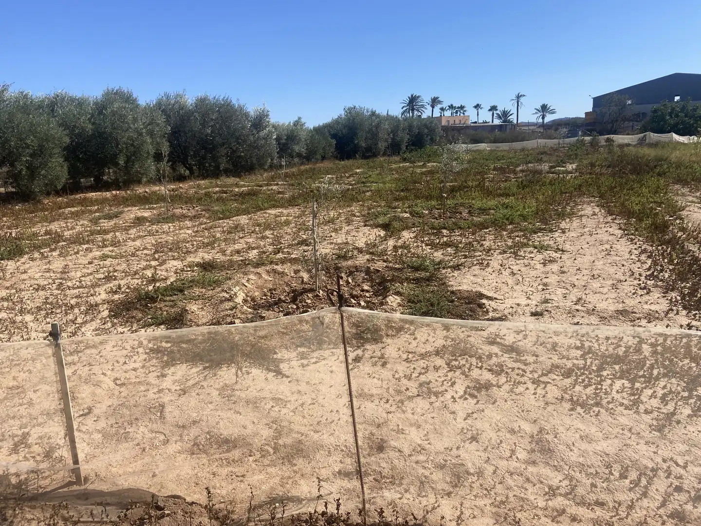 Land for sale in Cartagena