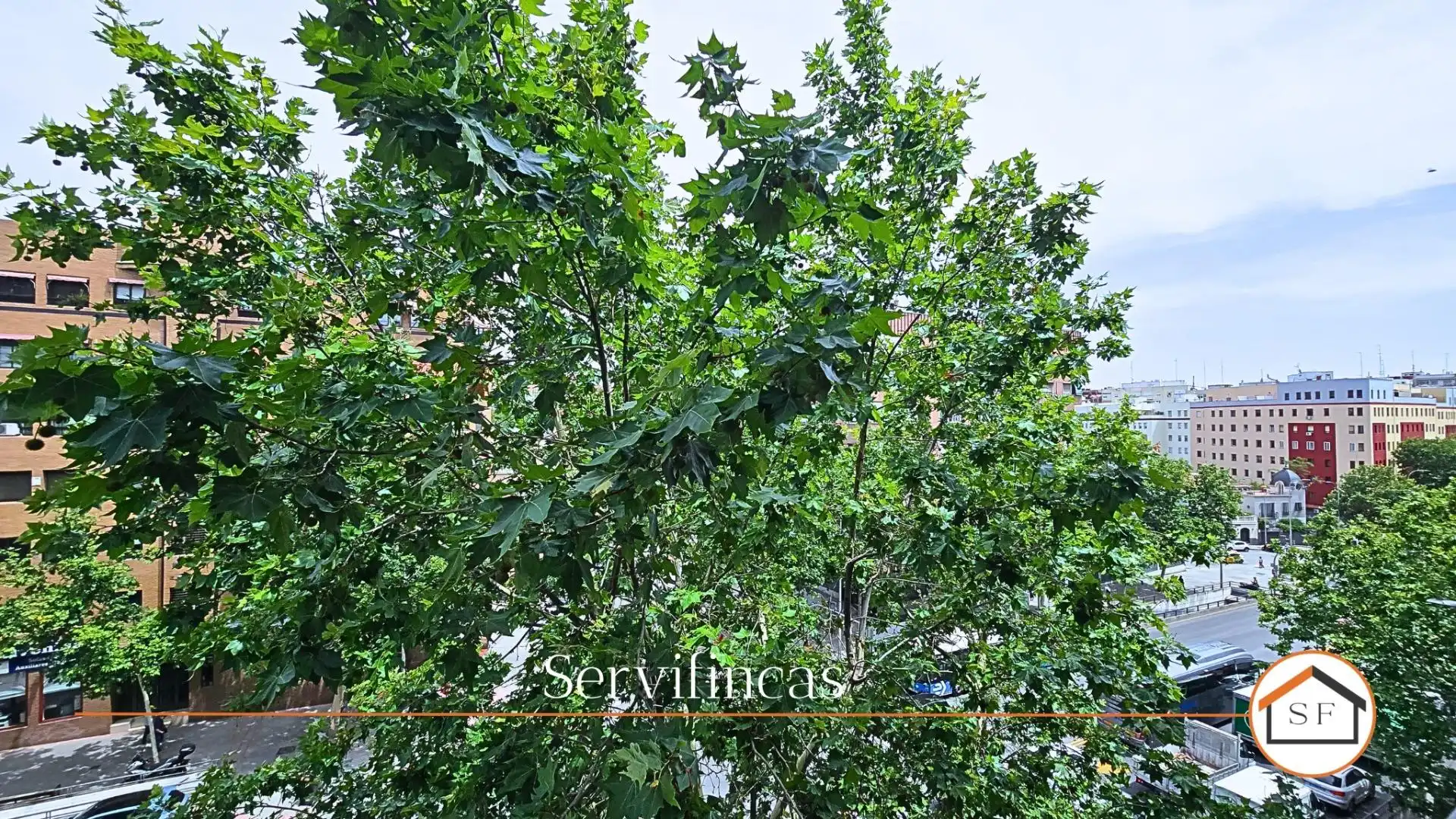 Garden of Flat for rent in Madrid  with Heating, Terrace and Balcony