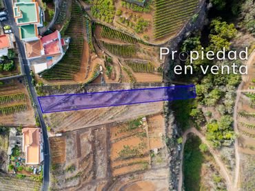 Terreny rústic en venda a Calle el Hayal 42