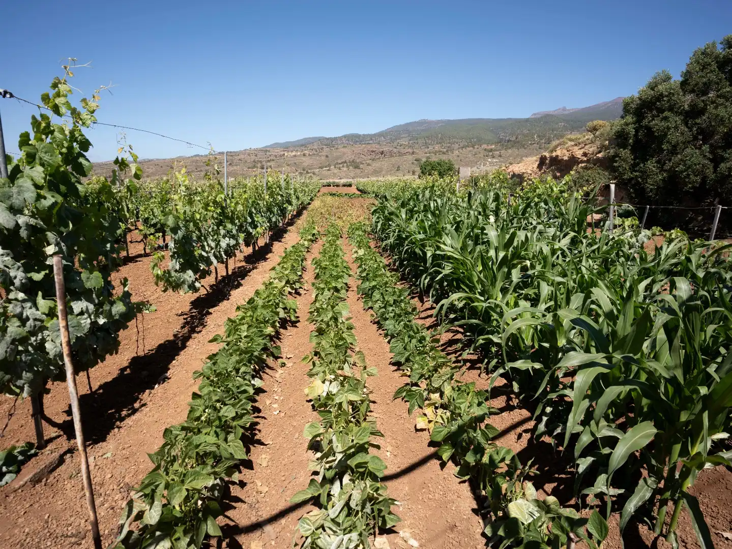 Terreno rustico in vendita a N/A, imagen 20