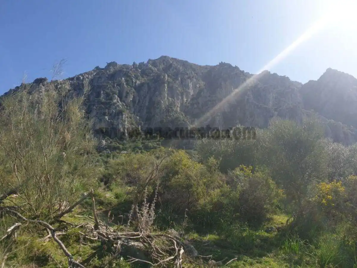 Residencial en venda a Casares, Málaga