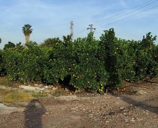 Finca rústica en venda en Sueca