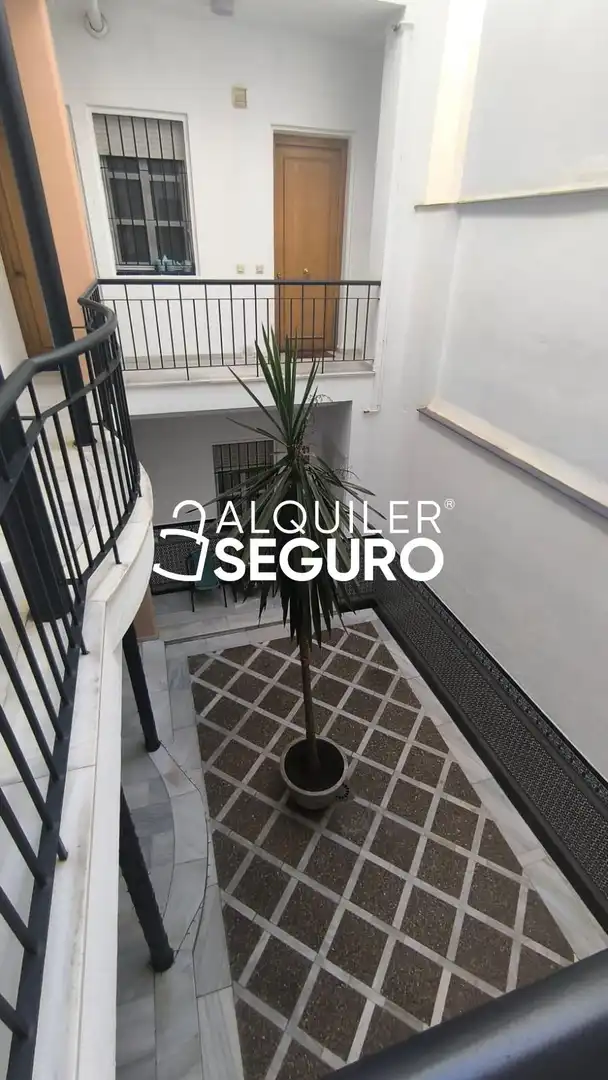 Garden of Flat for rent in Sevilla  with Air Conditioner and Furnished