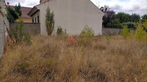Foto 3 de Terreno en venta en Los Olivos, Alameda, Cuenca Capital