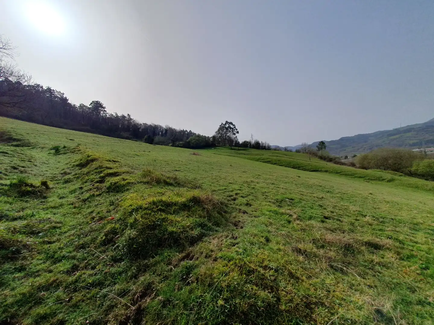 Maison rustique à vendre à Grado, imagen 19