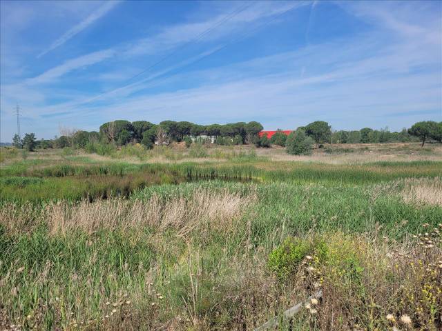 Terreno residencial en Venta en 1 Parcela  en Coreses