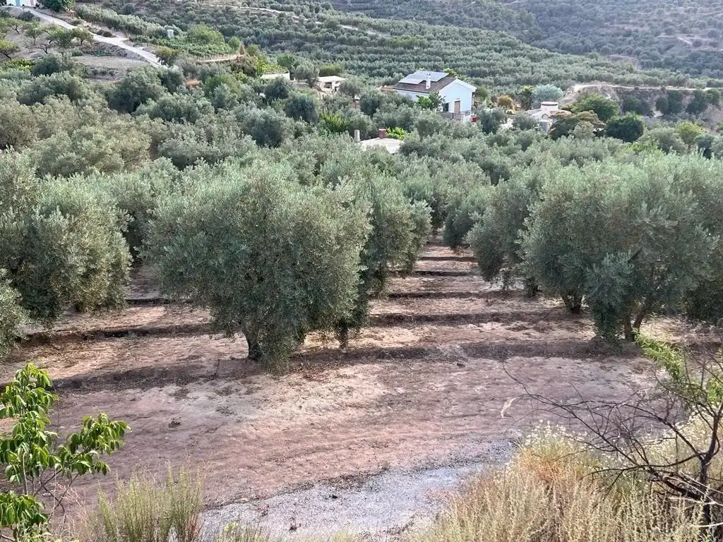 Casa rustica in vendita a Los castillos, el valle, imagen 20
