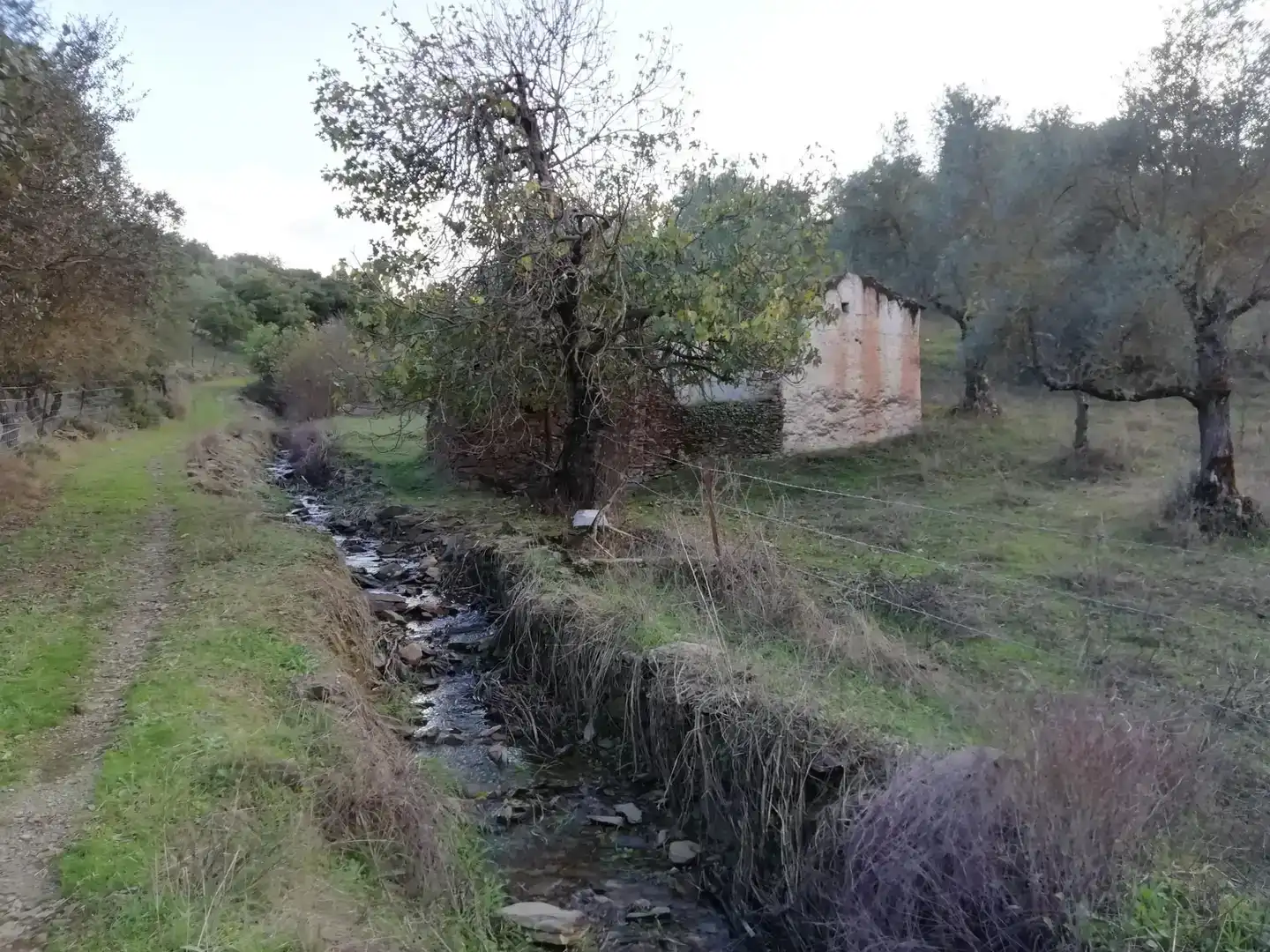 Terreno en venta en Cumbres Mayores, Huelva