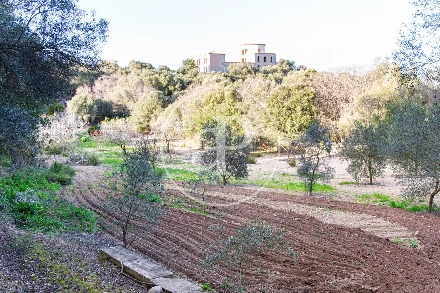 Jardín de Residencial en venta en Santa Margalida