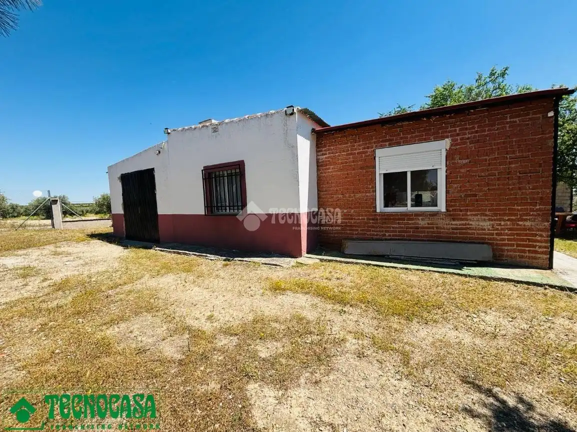 Exterior view of Land for sale in Mascaraque