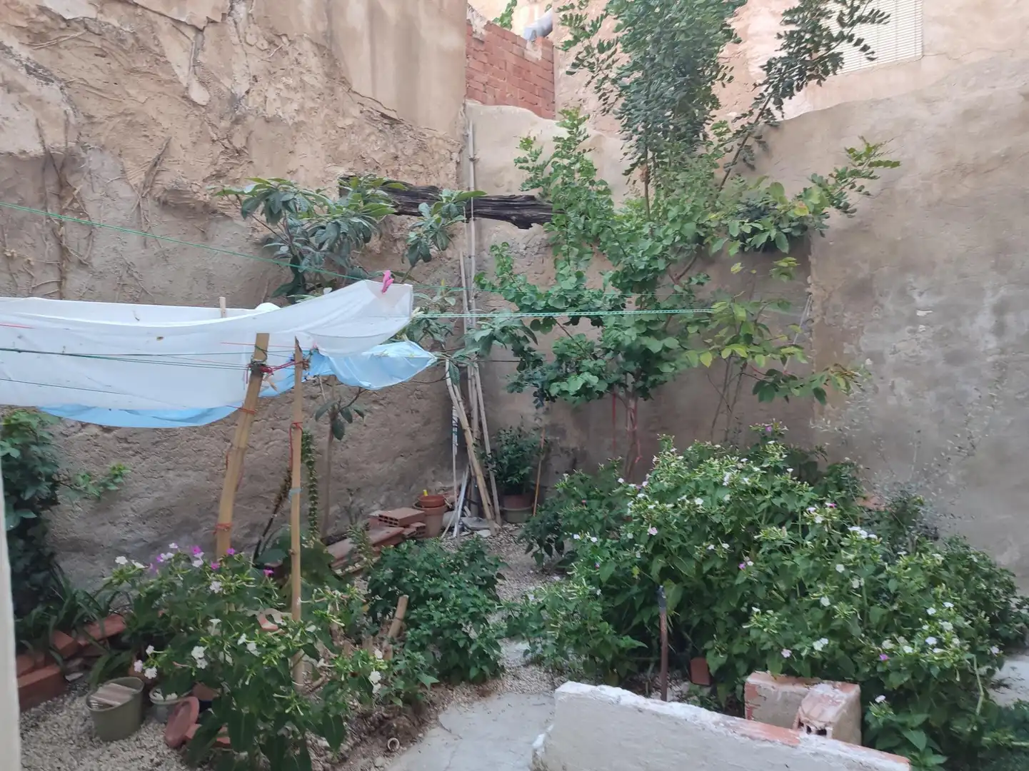 Garden of Residential for sale in Novelda