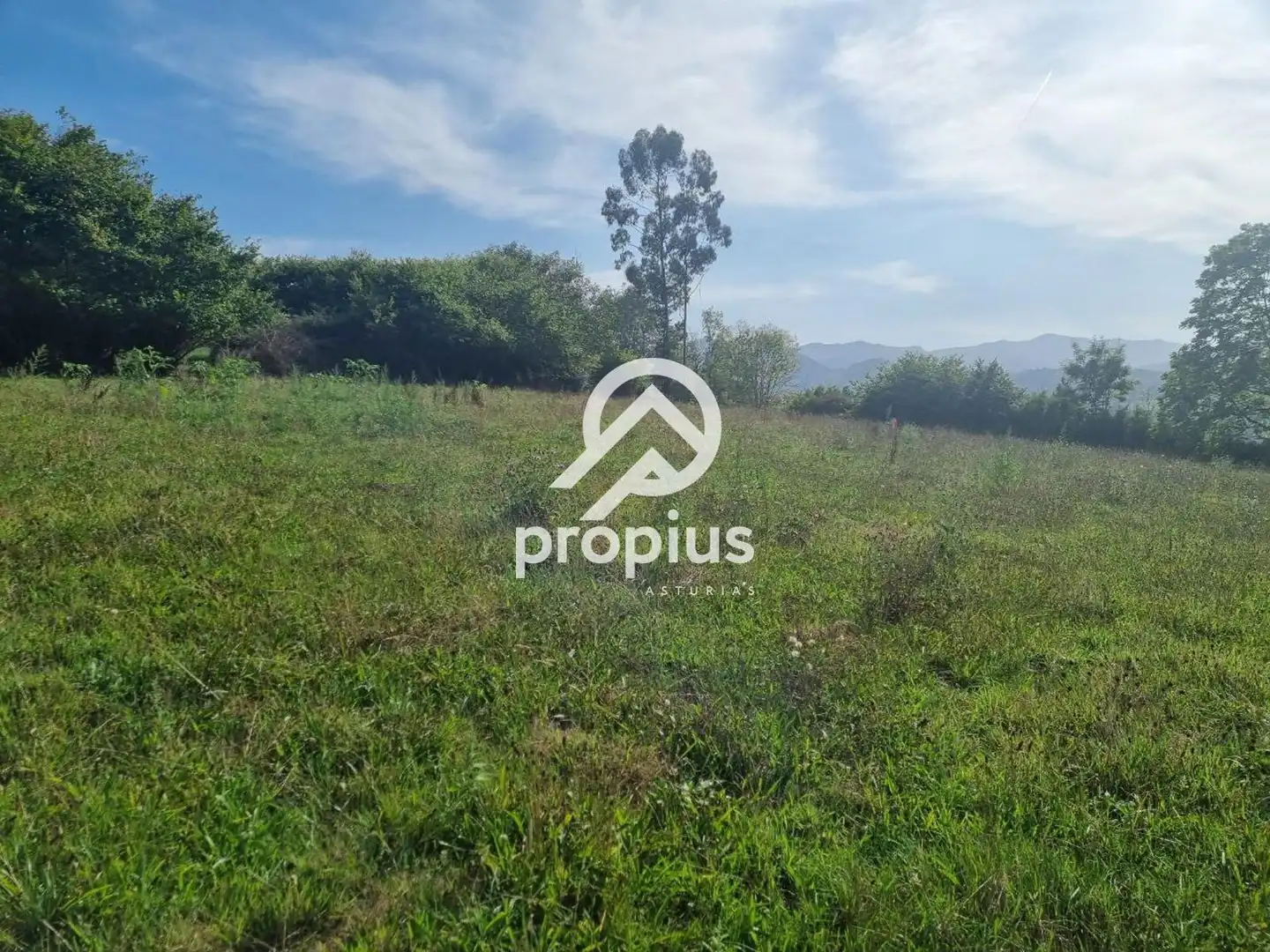 Rural land for sale in Arenas, imagen 8