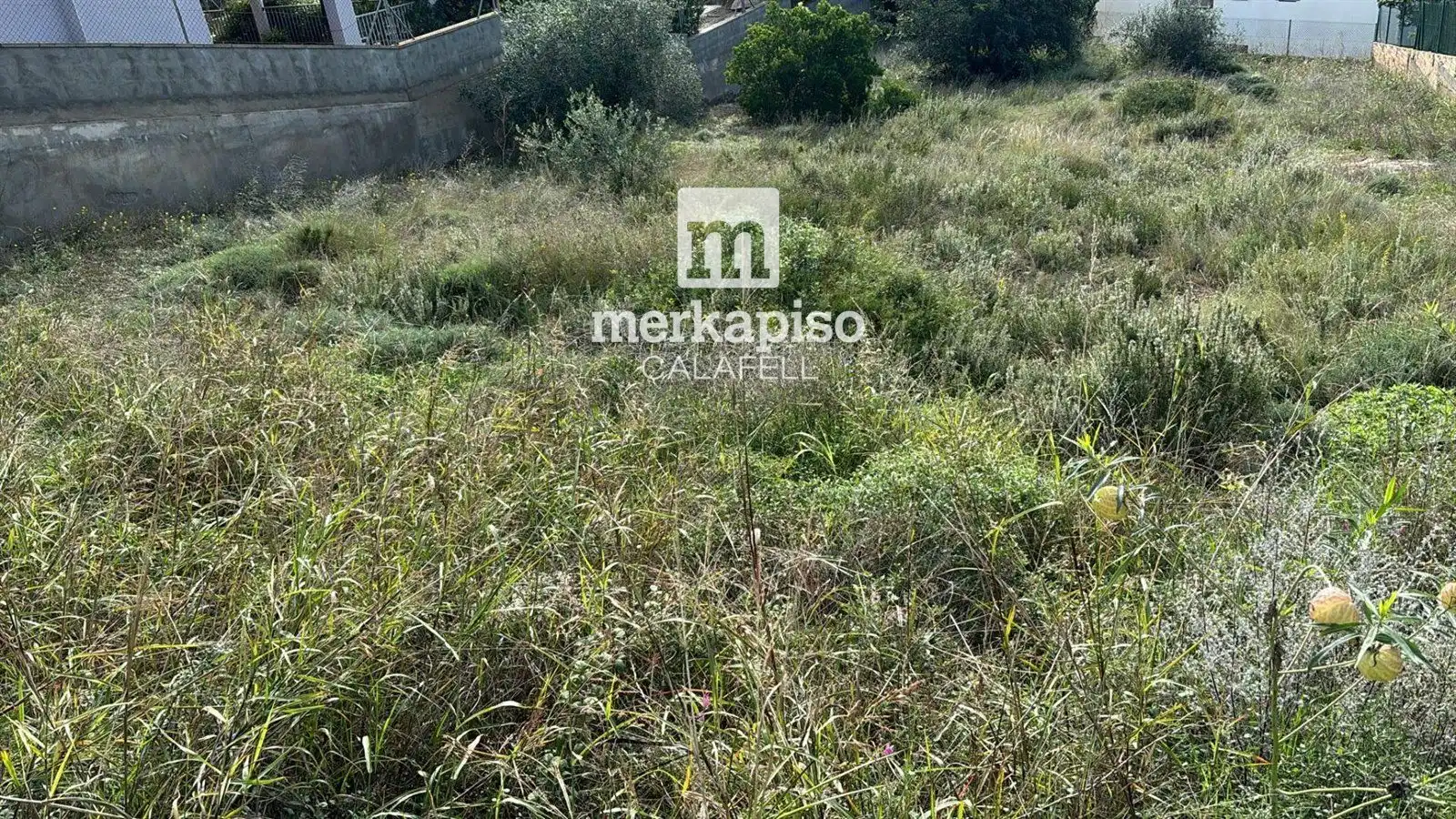 Terreny rústic en venda a Valldemar - Montmar, imagen 5