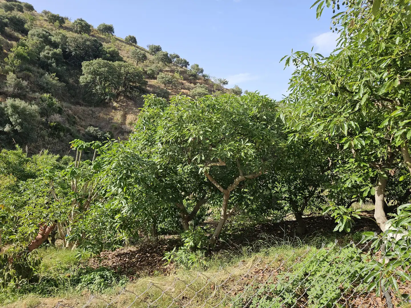 Country house for sale in El Rescate - Río Seco, imagen 14